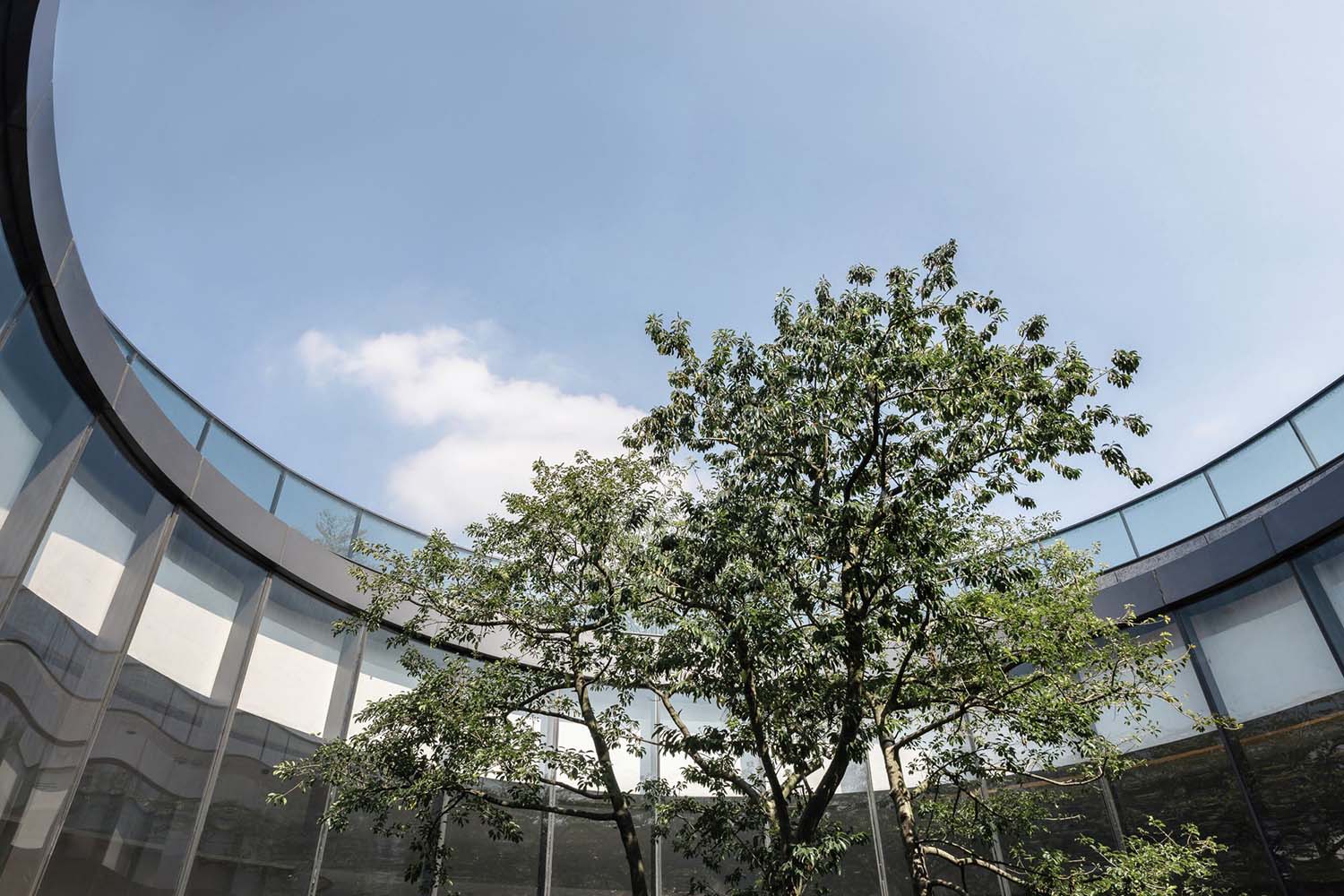 營銷中心設計,售樓處設計,佛山營銷中心設計,佛山售樓處設計,現代風格售樓處設計,佛山楊柳郡生活館售樓處,佛山楊柳郡生活館,綠城佛山楊柳郡生活館,楊柳郡生活館,其然設計,項目投稿