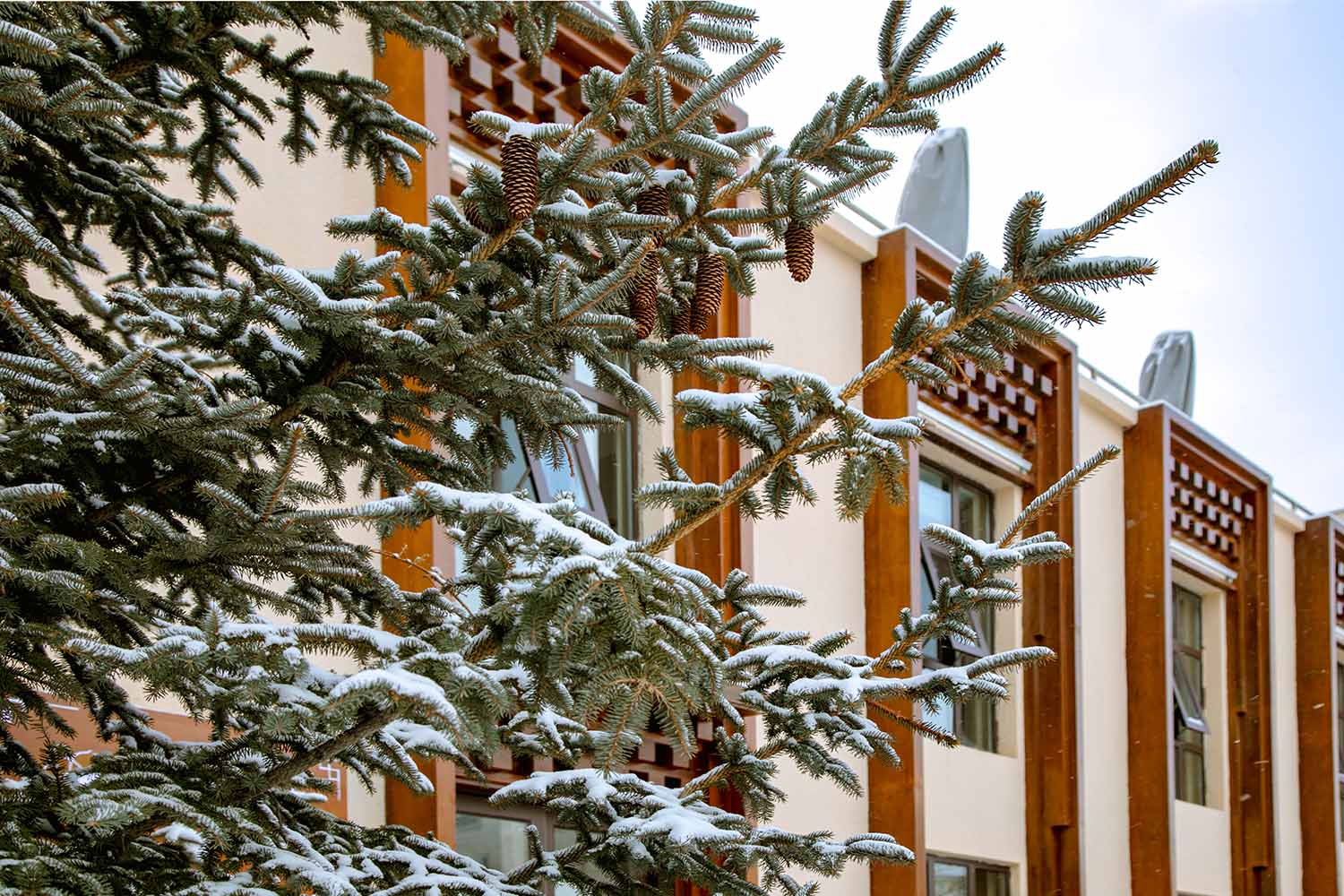 餐廳設計,雲南餐廳設計,香格裏拉餐廳設計,香格裏拉藏族餐廳,雲南藏族餐廳,拉喀拉卡爾藏族美食文化中心,拉喀拉卡爾藏族餐廳,拉喀拉卡爾藏族餐廳設計,平介設計,平介設計作品,項目投稿