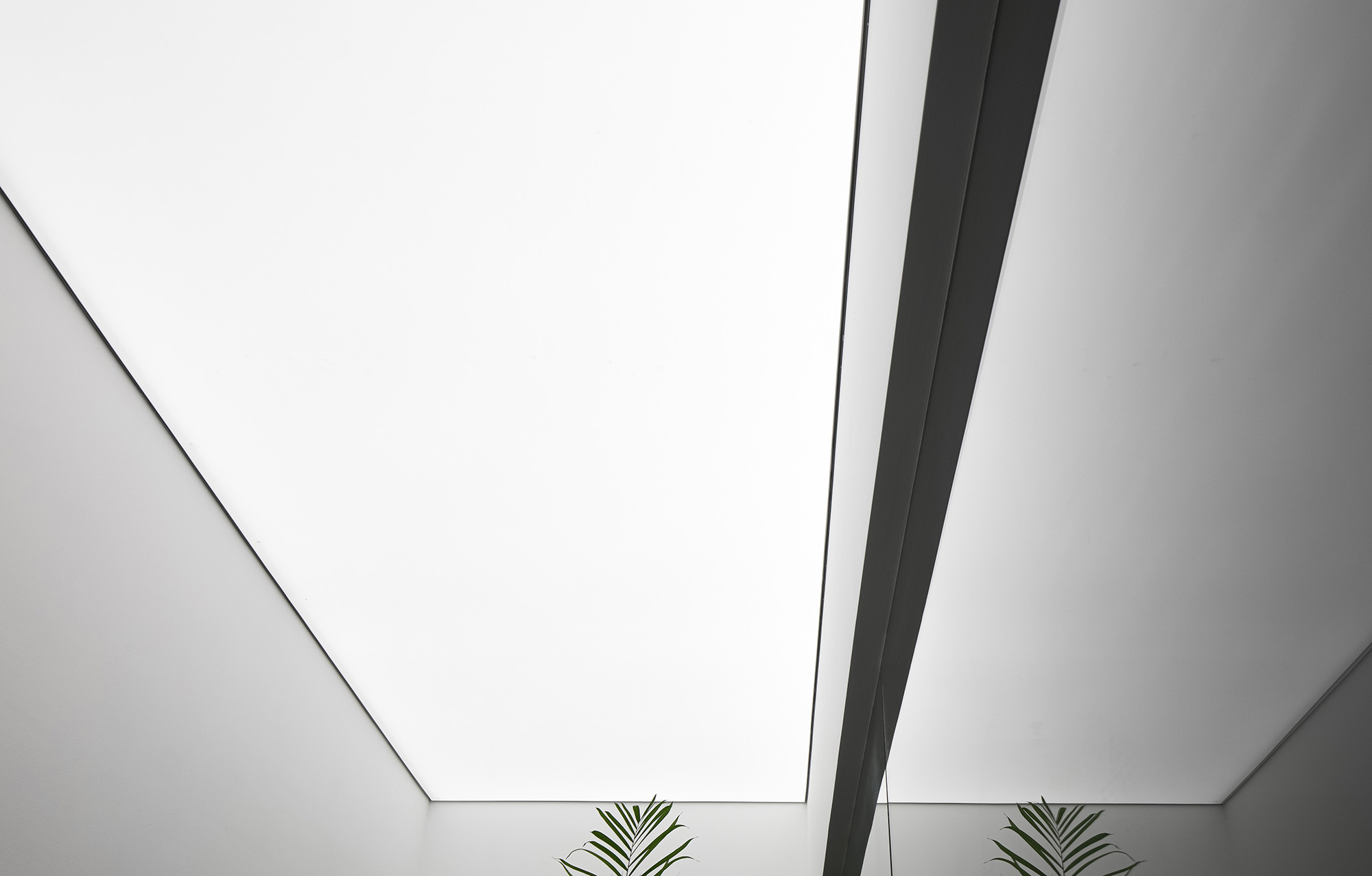 辦公室設計,佛山辦公室設計,現代風格辦公室設計,紡織公司辦公室設計,佛山潤軒紡織辦公室設計,佛山潤軒紡織公司辦公室,潤軒紡織公司辦公室設計,正方良行,正方良行設計公司,項目投稿