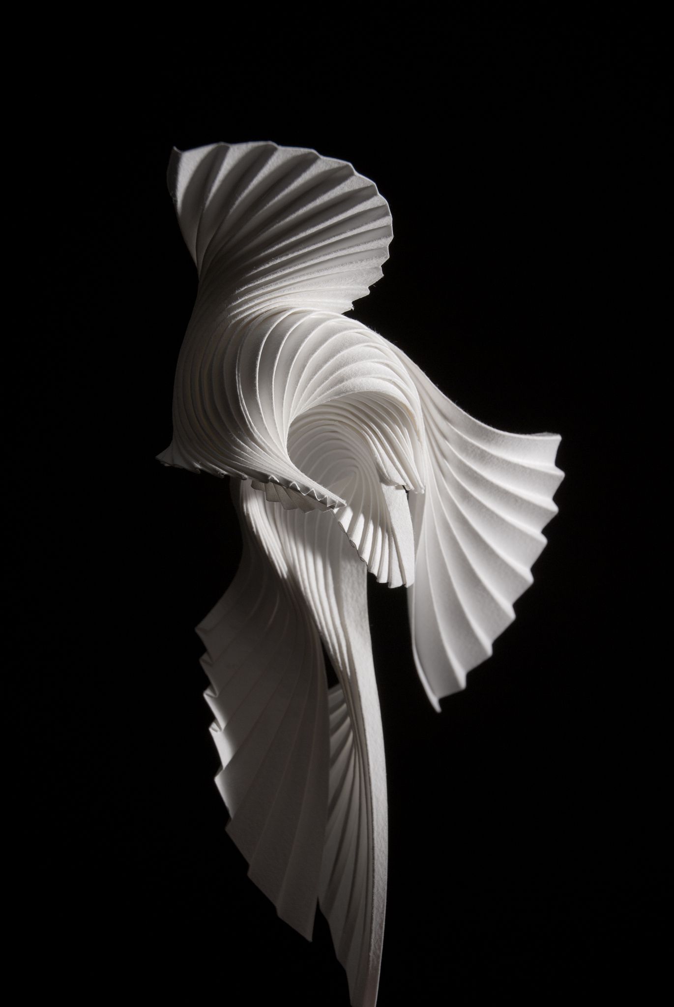 體驗店設計,美體店設計,上海美體店設計,上海CICI纖美體驗店,CICI纖美體驗店,上海CICI纖美體驗店設計公司,堂晤設計,堂晤設計作品,Towodesign,項目投稿