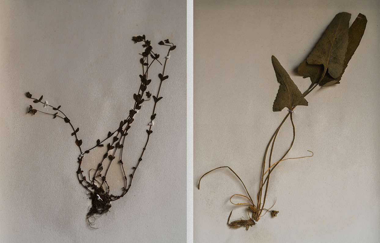 售樓處設計,營銷中心設計,南京中海鍾山印營銷中心,中海鍾山印營銷中心,南京中海鍾山印售樓處,中海鍾山印售樓處,現代風格售樓處設計,ONE-CU壹方設計,壹方設計,ONE-CU壹方設計作品,壹方設計作品,項目投稿