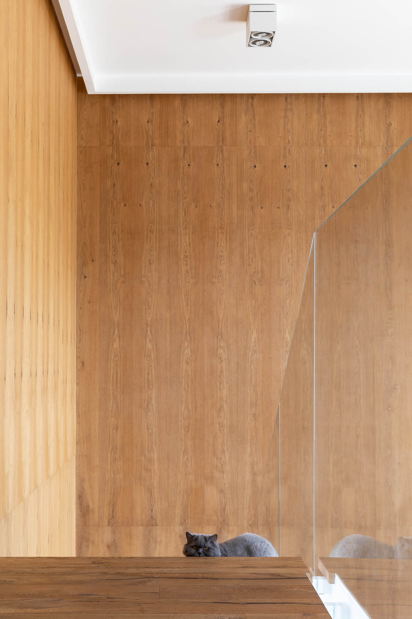 住宅設計,別墅設計,庭院設計,庭院住宅設計,國外別墅設計,國外住宅設計,國外別墅設計案例,國外現代風格別墅設計,現代風格別墅設計,現代風格住宅案例