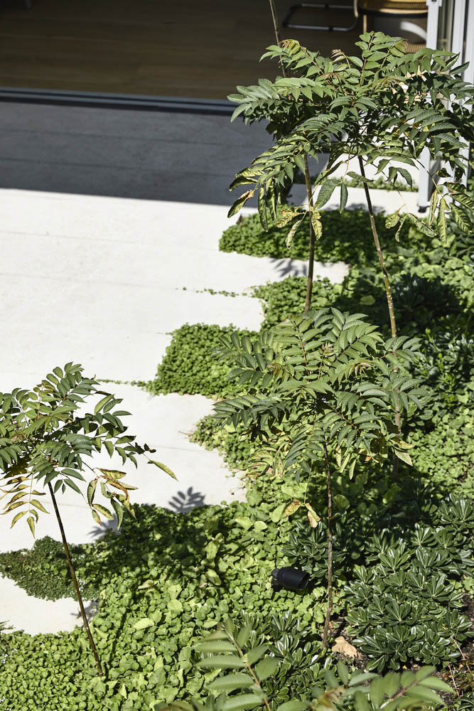 住宅設計,別墅設計,庭院設計,庭院住宅設計,國外別墅設計,國外住宅設計,國外別墅設計案例,國外現代風格別墅設計,現代風格別墅設計,現代風格住宅案例,Rob Kennon Architects