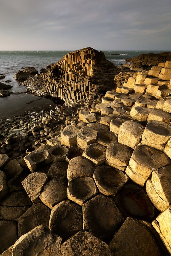 餐廳設計,烤鴨店設計,北京餐廳設計,北京烤鴨店設計,北京四季民福呼家樓店,四季民福呼家樓店,休閑餐廳設計,餐廳設計案例,現代風格餐廳設計,IN.X屋裏門外,IN.X屋裏門外設計公司,屋裏門外設計公司,項目投稿