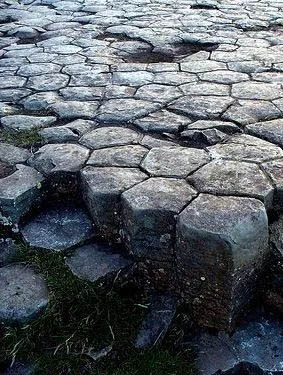 餐廳設計,烤鴨店設計,北京餐廳設計,北京烤鴨店設計,北京四季民福呼家樓店,四季民福呼家樓店,休閑餐廳設計,餐廳設計案例,現代風格餐廳設計,IN.X屋裏門外,IN.X屋裏門外設計公司,屋裏門外設計公司,項目投稿