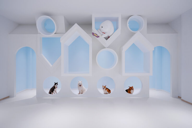 內境空間設計 | 浙江超大1300m² 狗狗派萌寵中心