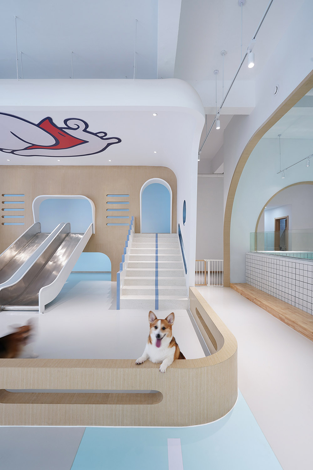 寵物中心設計,寵物店設計,杭州寵物中心設計,杭州寵物店設計,狗狗派萌寵中心,杭州狗狗派萌寵中心,內境空間設計,內境空間設計作品,項目投稿