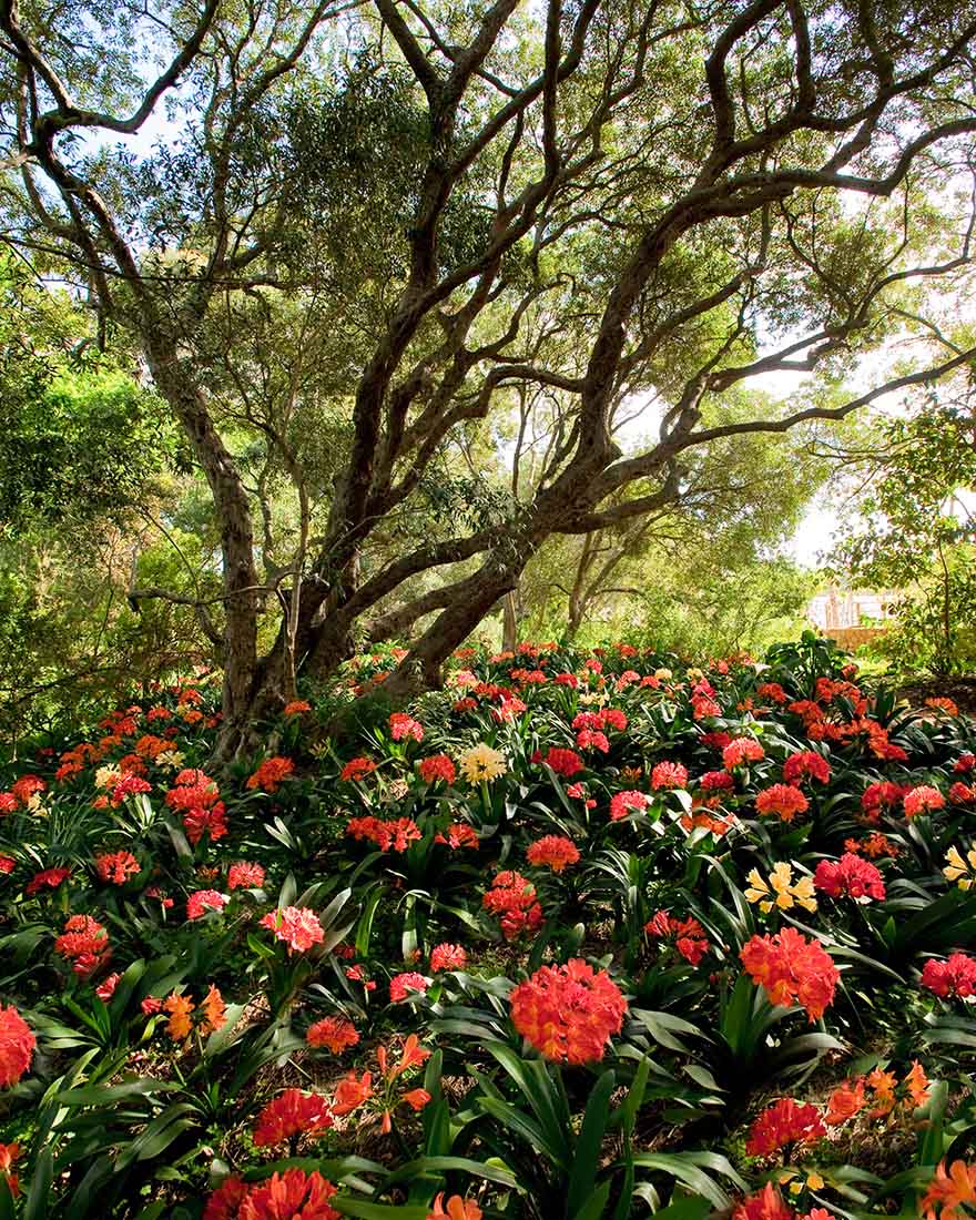 酒店設計,民宿設計,國外酒店設計,酒店設計案例,農場花園酒店設計,農場民宿設計,國外民宿設計,Green Touch Studio