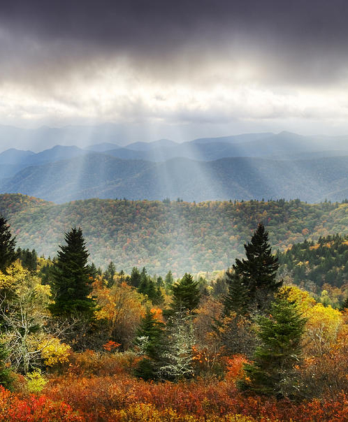 售樓處設計,南京售樓處設計,營銷中心設計,現代風格售樓處案例,南京溧水禮樾雲居營銷中心,禮樾雲居營銷中心,南京禮樾雲居營銷中心,南京禮樾雲居營售樓處,禮樾雲居售樓處,柏年印象,柏年印象設計作品