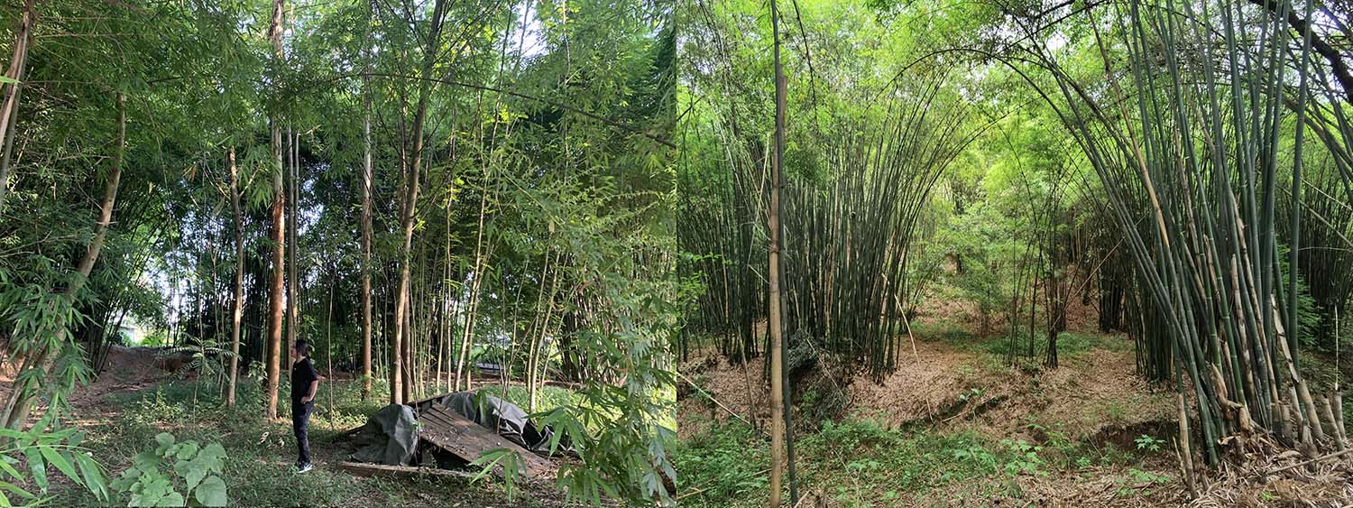 竹枝書院,宜賓竹枝書院,竹枝書院設計公司,建築設計,宜賓建築設計,竹枝書院設計,小隱建築,小隱建築事務所