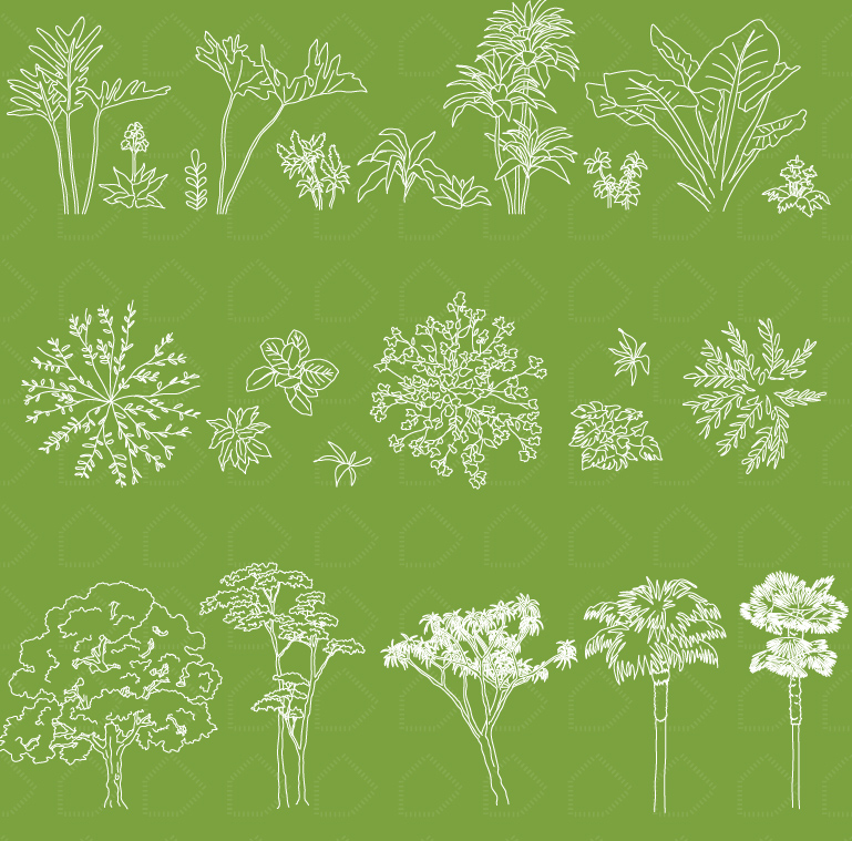 創意植物矢量圖集,創意植物線稿,矢量圖集,植物矢量圖集,設計師的靈感,讓設計更有趣,CAD植物圖塊,CAD植物圖塊下載,設計師必備創意素材