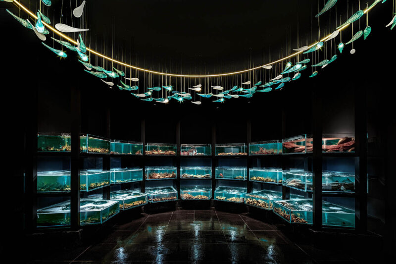 未木空間設計 | 北京有鯤海鮮自助餐廳