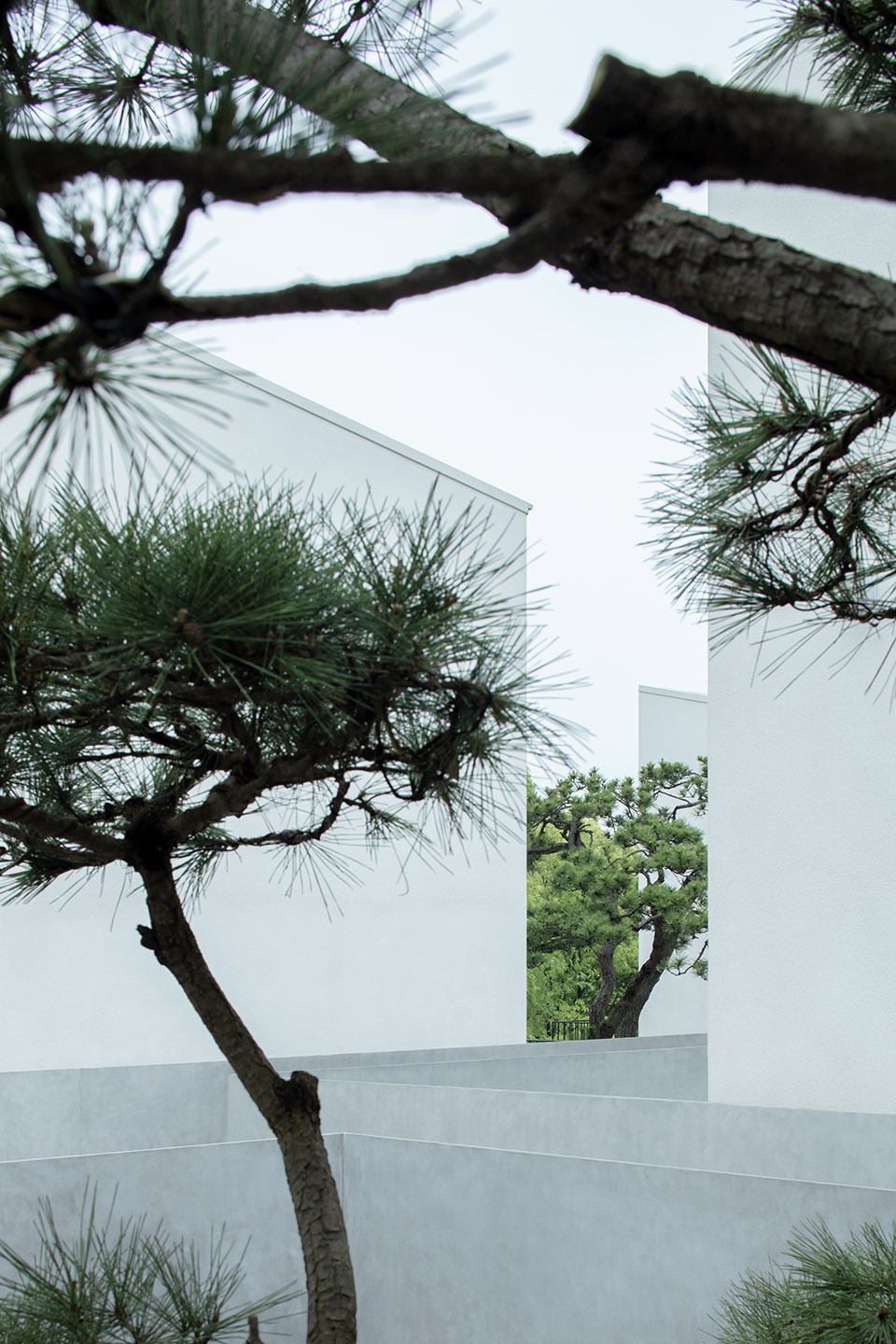 民宿設計,民宿改造設計,酒店設計,設計酒店,酒店設計案例,民宿設計案例,昆山酒店設計,精品酒店設計,星級酒店設計,江南半舍民宿,青山周平設計,青山周平,青山周平設計作品,B.L.U.E. 建築設計,B.L.U.E. 建築設計事務所