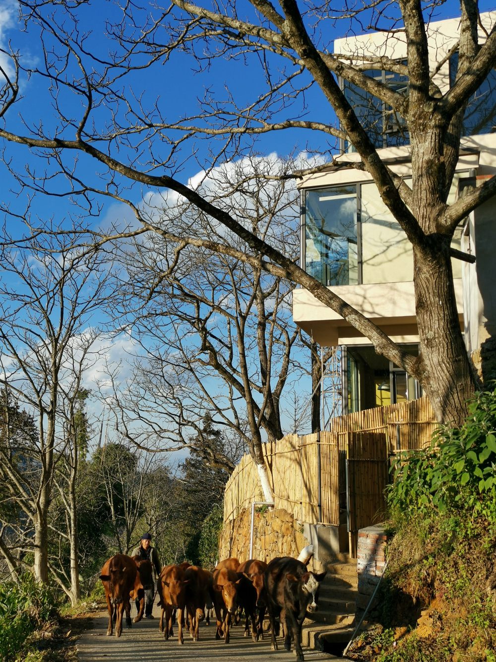 民宿設計,酒店設計,設計酒店,酒店設計案例,民宿設計案例,雲南酒店設計,玉溪酒店設計,樹幾山舍度假酒店,度假酒店設計,樹幾山舍酒店,玉溪樹幾山舍,樹幾山舍,納樓空間設計