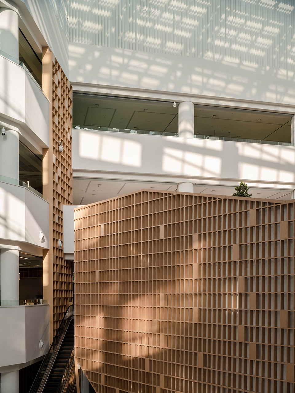 公共空間,圖書館設計,張家口圖書館,圖書館設計案例,天作空間設計,天作空間,北京天作空間