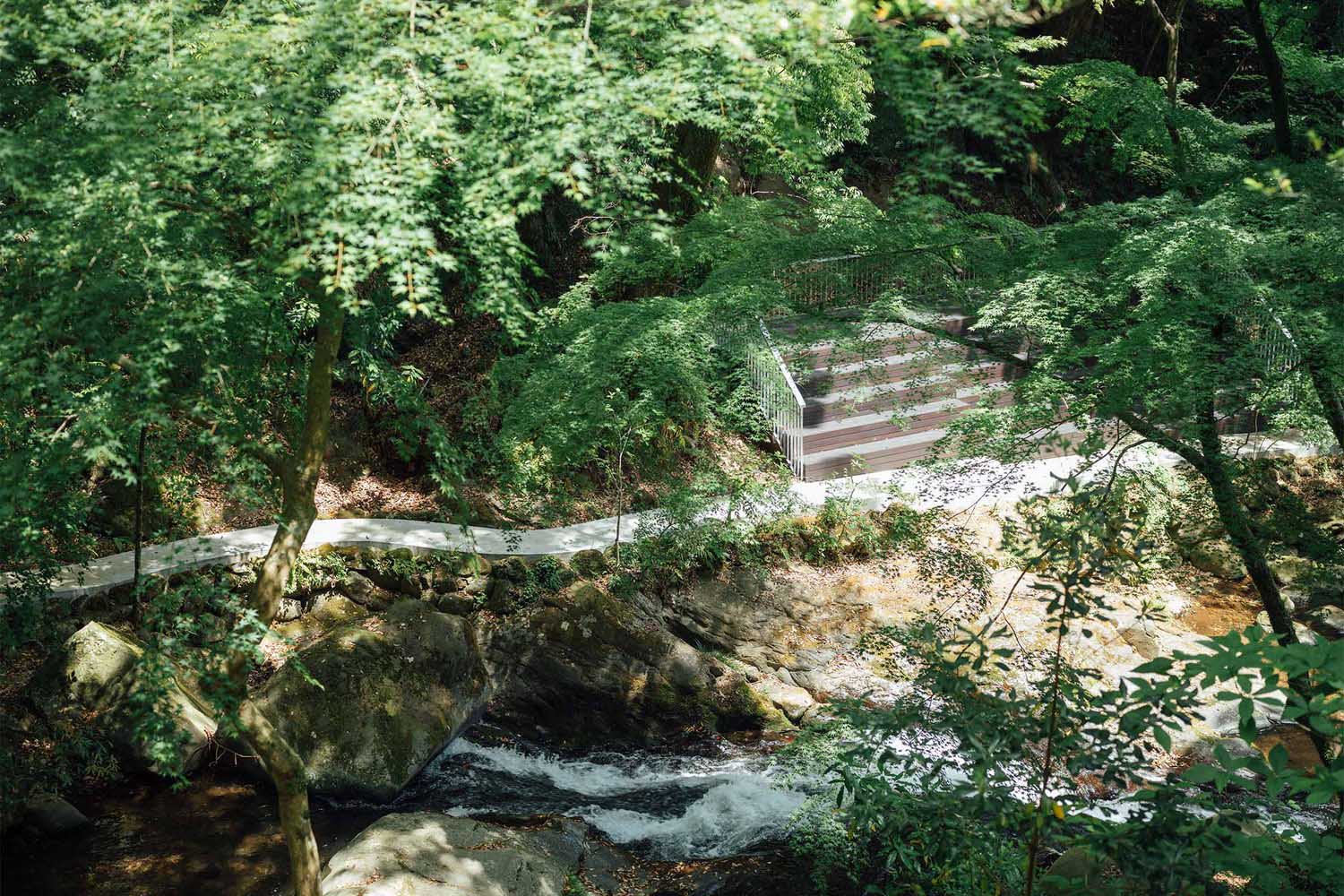 Shohei Oka,Soyu Terrace餐廳+圖書館,餐廳設計,圖書館設計,複合店設計案例,極簡主義,極簡空間設計,Yugawara Soyu Books and Retreat hotel