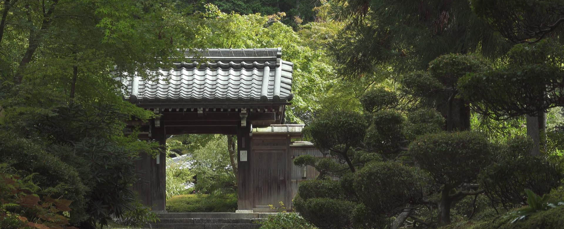 Wabi-Sabi-侘寂庭院,侘寂庭院,近江·孤篷庵,侘寂設計,孤篷庵,OUMI KOHOU,侘寂視頻下載