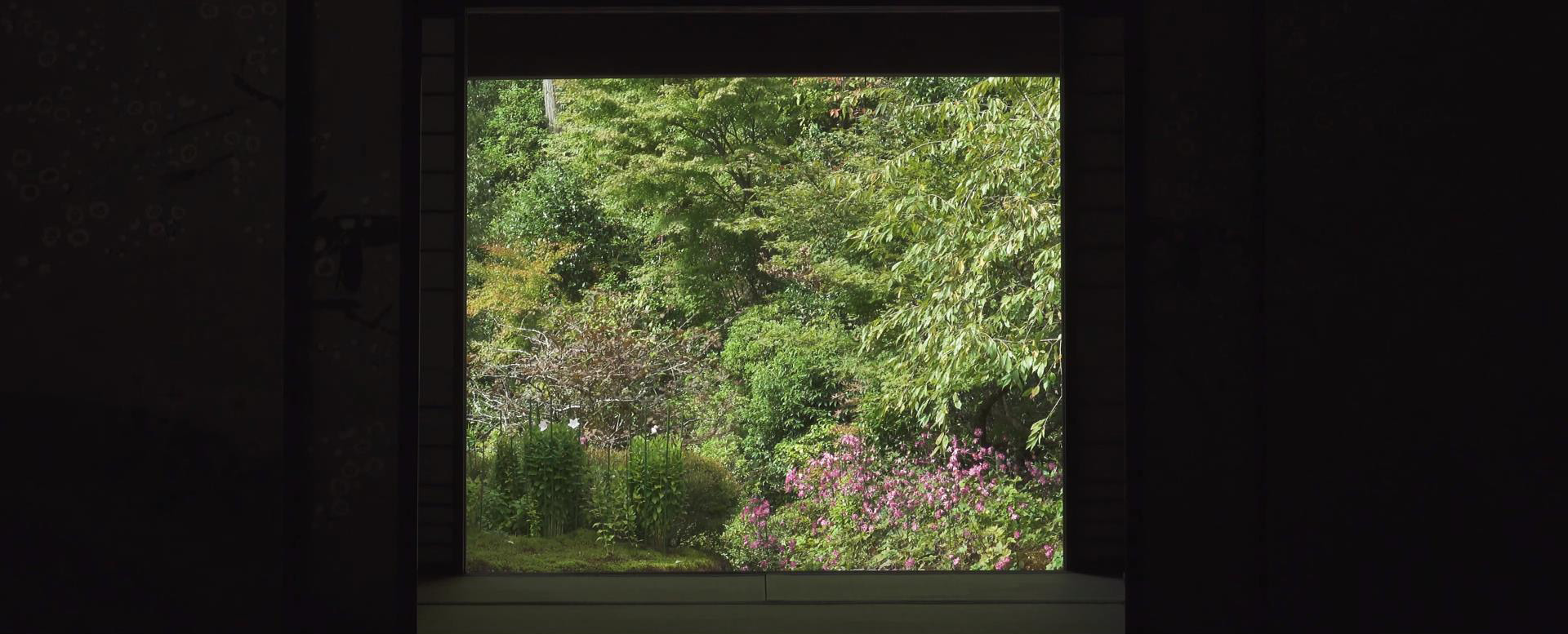 Wabi-Sabi-侘寂庭院,侘寂庭院,近江·孤篷庵,侘寂設計,孤篷庵,OUMI KOHOU,侘寂視頻下載