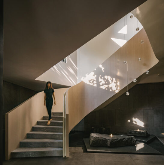 Czarl Architects | 990㎡，新加坡極致無邊際空中泳池，高級輕奢別墅