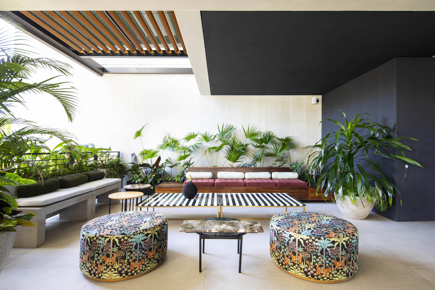 Studio Saxe,青年公寓,公寓,公寓設計案例,國外公寓設計,公寓設計方案