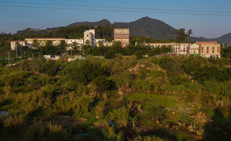 茶室設計,茶飲店設計,廈門茶室設計,廈門茶飲店設計,茶室設計案例,不多茶室,廈門不多茶室,多功能空間設計,休閑空間設計,玩木傻子