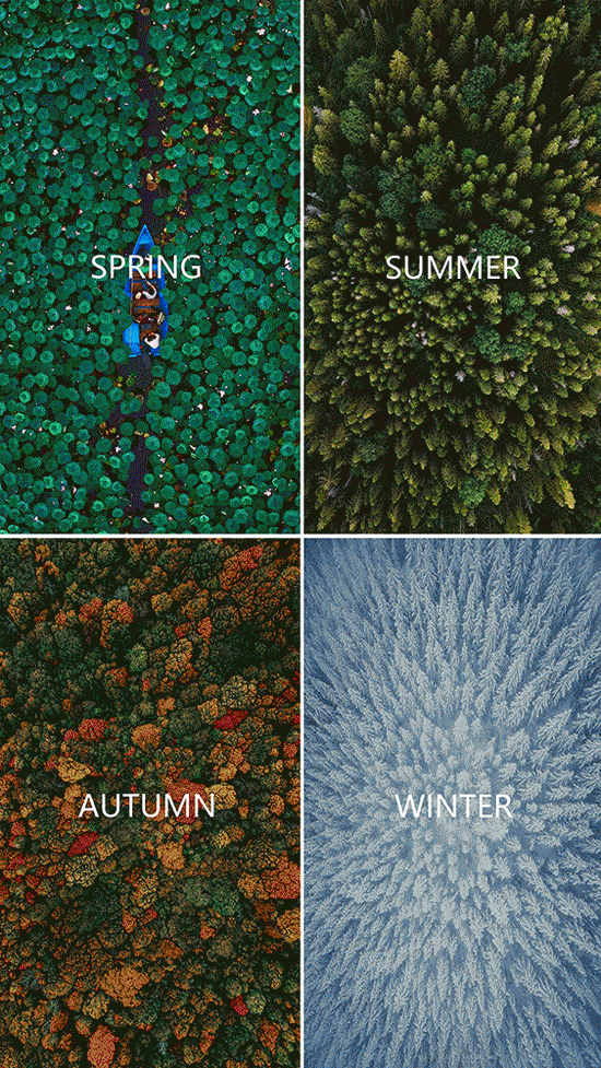 服裝店設計,深圳服裝店設計,零售店設計,旗艦店設計,時裝店設計,商業空間,女裝店設計,一尚門,一尚門卓悅中心店,深圳一尚門,深圳女裝店設計,加減智庫設計事務所,加減智庫設計,加減智庫