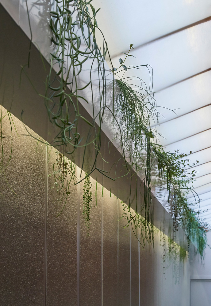 診所設計,國外診所設計,診所設計案例,Foolscap Studio,墨爾本,ODE Dermatology,皮膚管理診所,獨立診所設計,美容診所