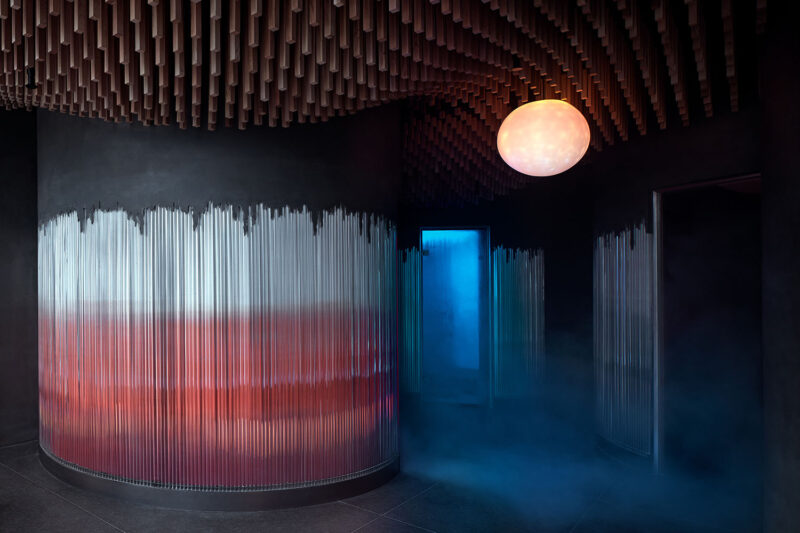 FormaFatal | 155㎡，捷克布拉格MPP自然醫學研究所-SPA診療