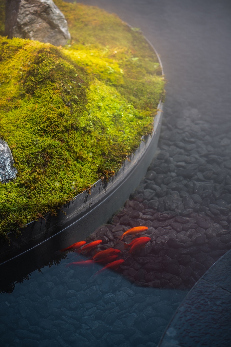 餐廳設計,中餐廳設計,中餐廳設計案例,高檔餐廳設計,寬三堂,成都寬三堂,成都中餐廳,網紅餐廳,成都網紅餐廳,休閑餐廳設計,MUDA慕達建築,MUDA,慕達建築