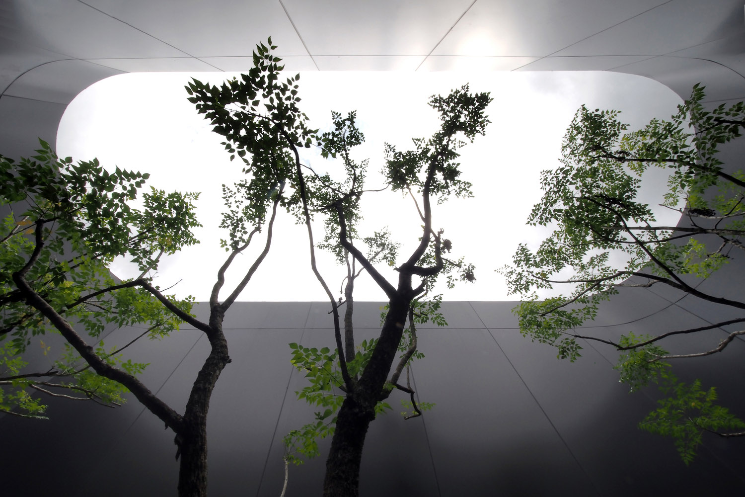 辦公室設計,ASWA,Seven Lakes Office,個性辦公室設計,曼穀,Sevenlakes,食品包裝創意辦公室,設計公司辦公室,包裝設計公司辦公室,辦公室設計案例