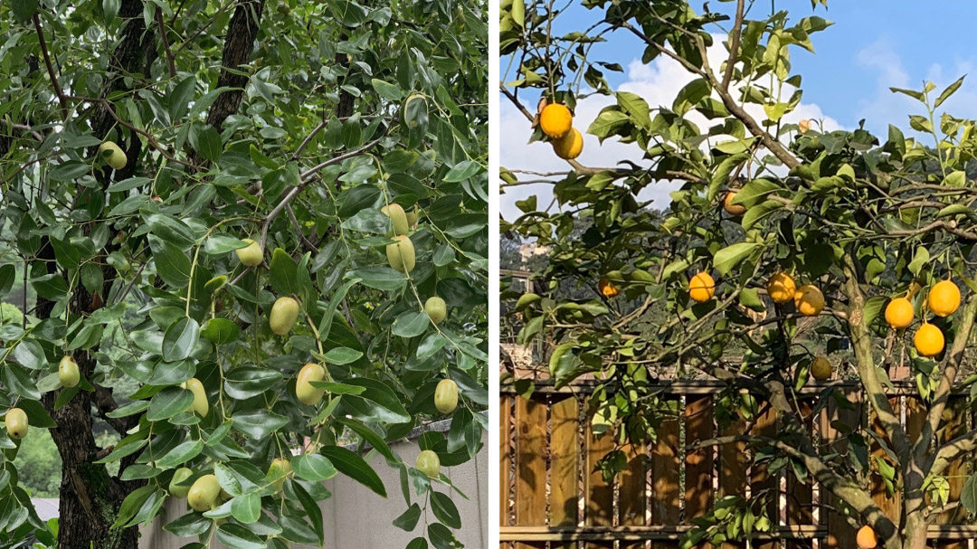 480㎡住宅設計,480㎡,別墅設計,重慶別墅設計,重慶住宅設計,聯排別墅設計,別墅設計案例,現代風格住宅設計案例,重慶山居別墅,重慶南山別墅,南山別墅,設計師的家,馬艾洋室內設計事務所,馬艾洋室內設計,馬艾洋設計