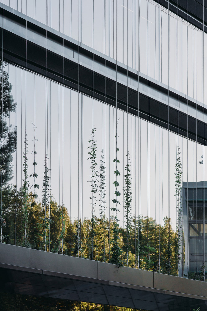 大學教室設計,UNStudio,教學樓設計案例,荷蘭,國外大學教學樓設計,UNStudio設計,UNStudio設計方案,UNStudio作品