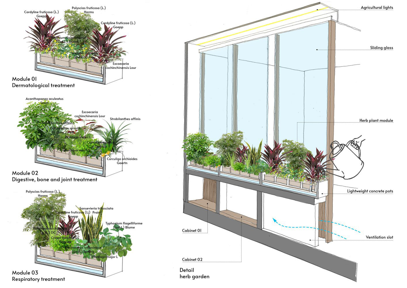 診所設計,國外診所設計,診所設計案例,ODDO architects,越南,河內,中醫診所,獨立診所設計,Phong Kham Yhct,新中式診所,新中式方案設計