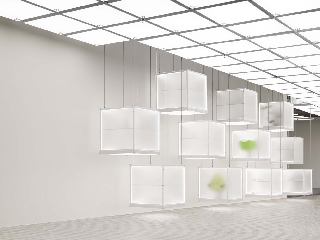 F.O.G.建築事務所,F.O.G. Architecture,概念店,300㎡,杭州,杭州超級種子,超級種子概念店,體驗店設計案例,概念店設計案例