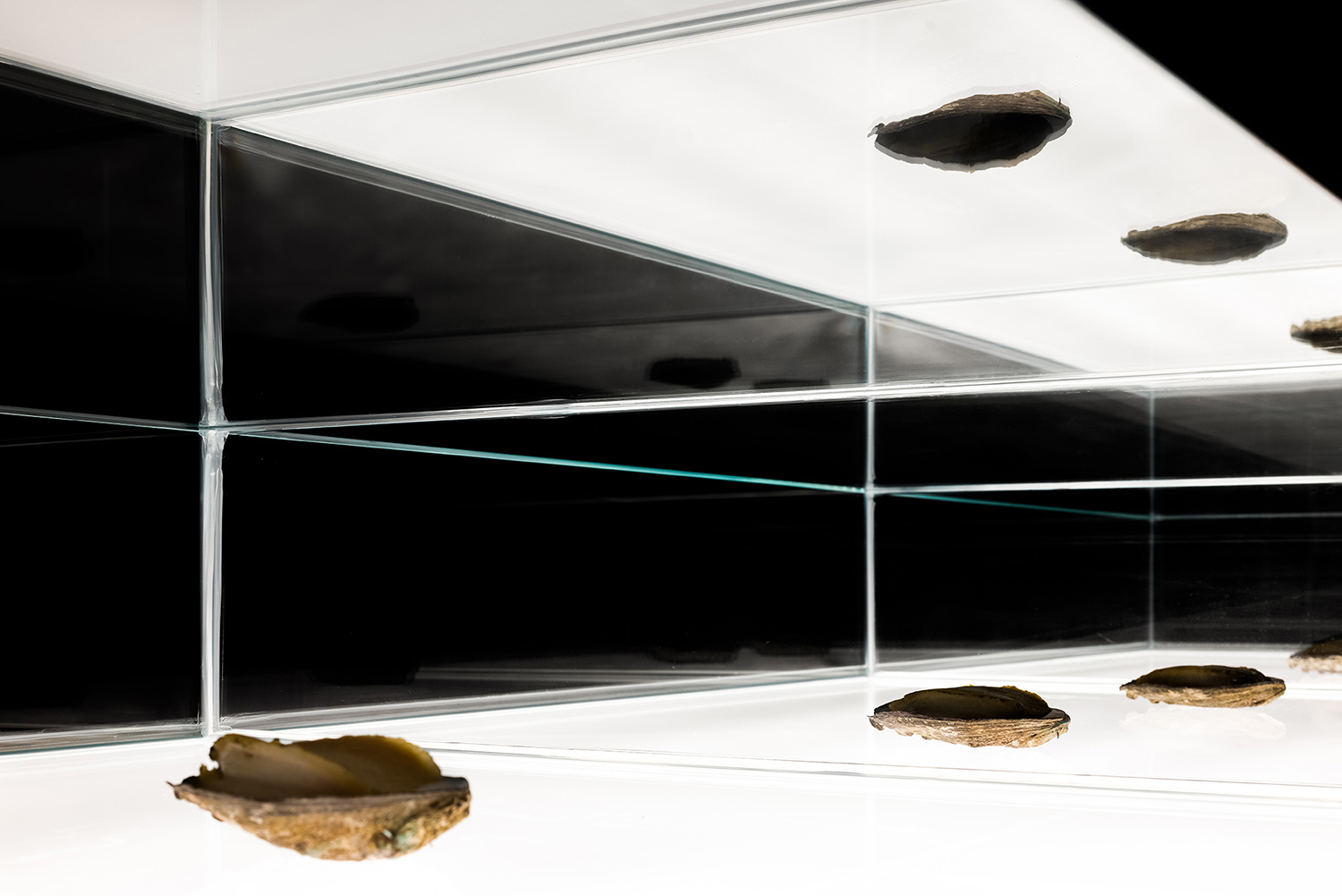 展廳設計,會館設計,鮑滿鮑魚展示會館,鮑滿鮑魚,汕頭鮑滿鮑魚,汕頭鮑滿鮑魚展示會館,艾克建築設計,艾克建築設計作品,艾克建築,謝培河