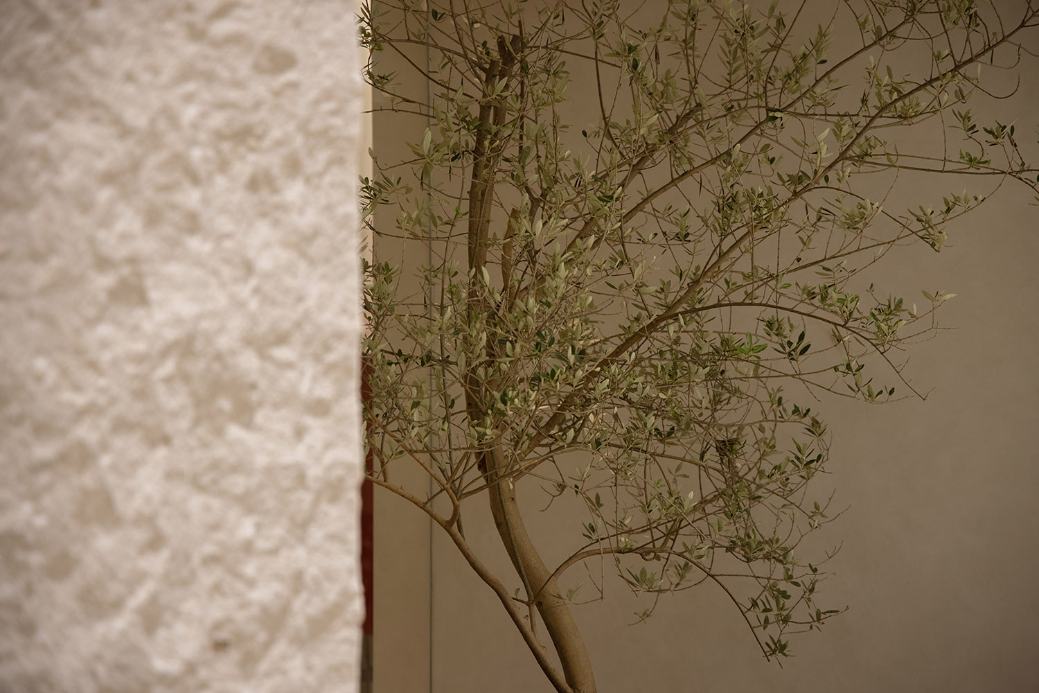 展廳設計,家具展廳設計,深圳展廳設計,深圳家具展廳設計,家具展廳設計案例,素庭家具,素庭,Soothin,素庭展廳,綻放設計,李寶龍,南鴻天,陳小虎