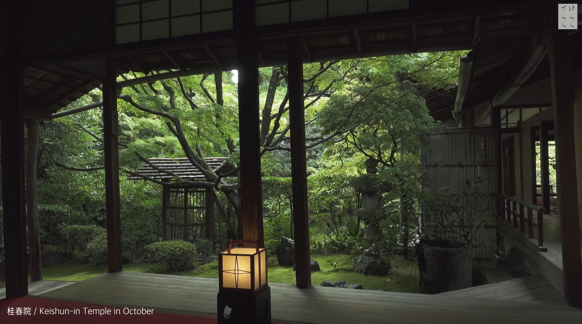 Wabi-Sabi-侘寂庭院,侘寂庭院,京都,侘寂設計,侘寂視頻下載,日式侘寂庭院