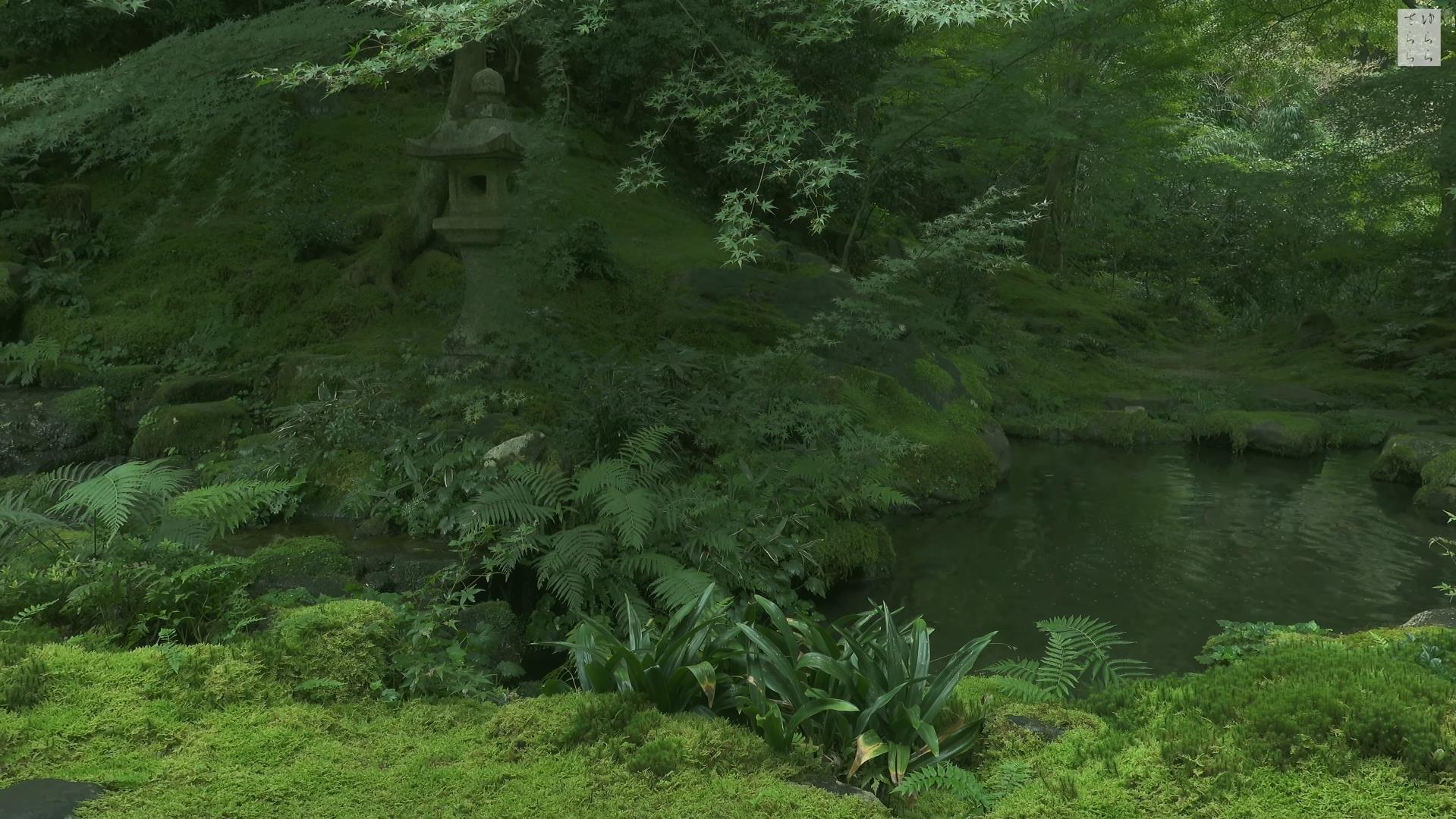 Wabi-Sabi-侘寂庭院,侘寂庭院,京都,侘寂設計,侘寂視頻下載,日式侘寂庭院,瑠璃光院