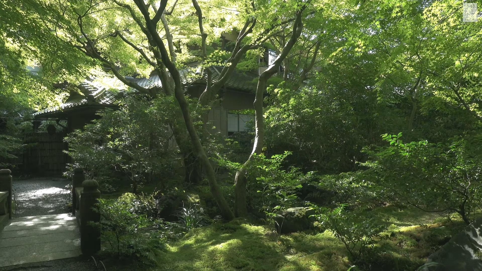 Wabi-Sabi-侘寂庭院,侘寂庭院,京都,侘寂設計,侘寂視頻下載,日式侘寂庭院,瑠璃光院
