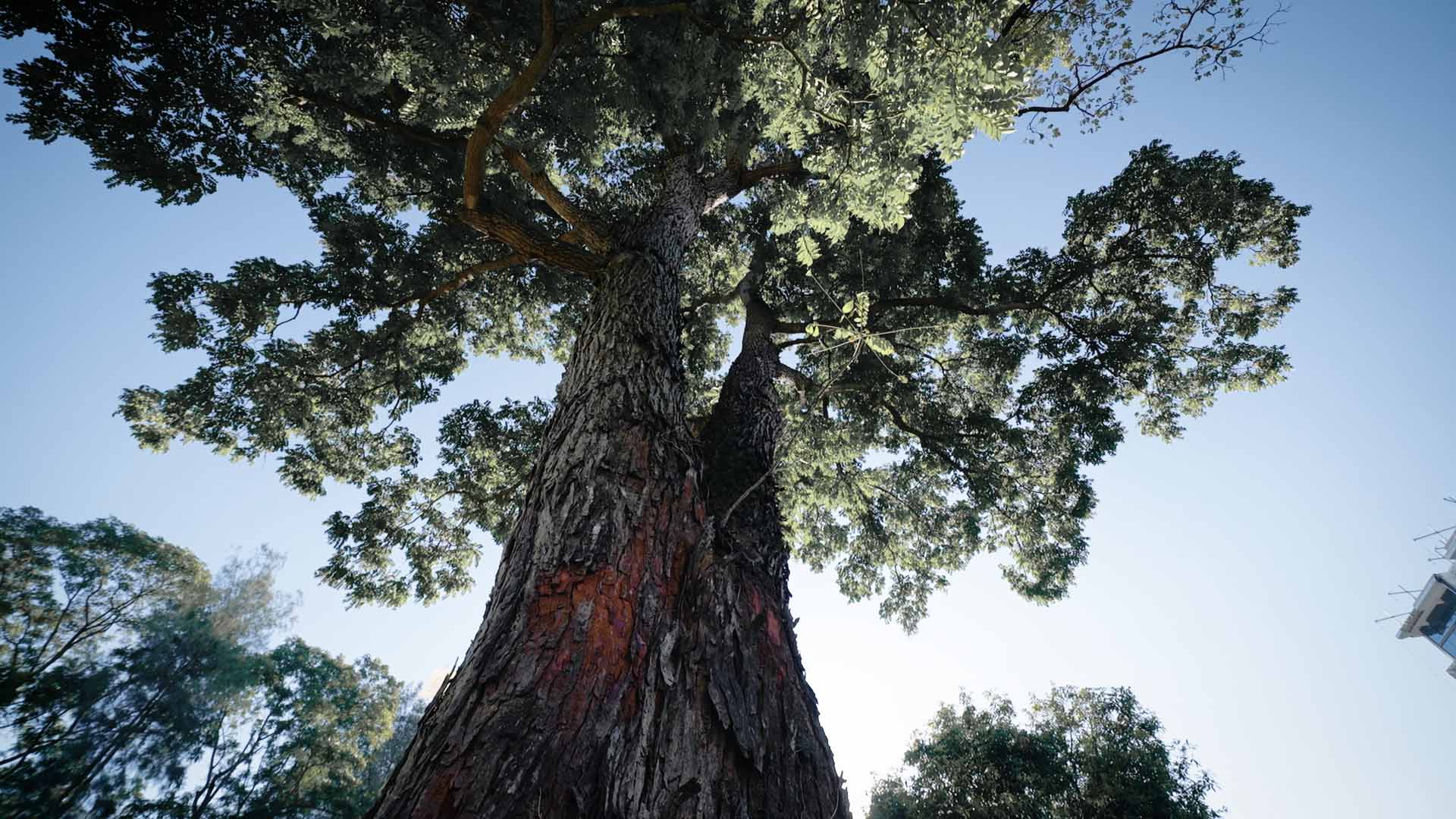 別墅設計,別墅設計案例,T&D知行空間設計,從化,廣州,別墅裝修,住宅設計,溫泉院墅