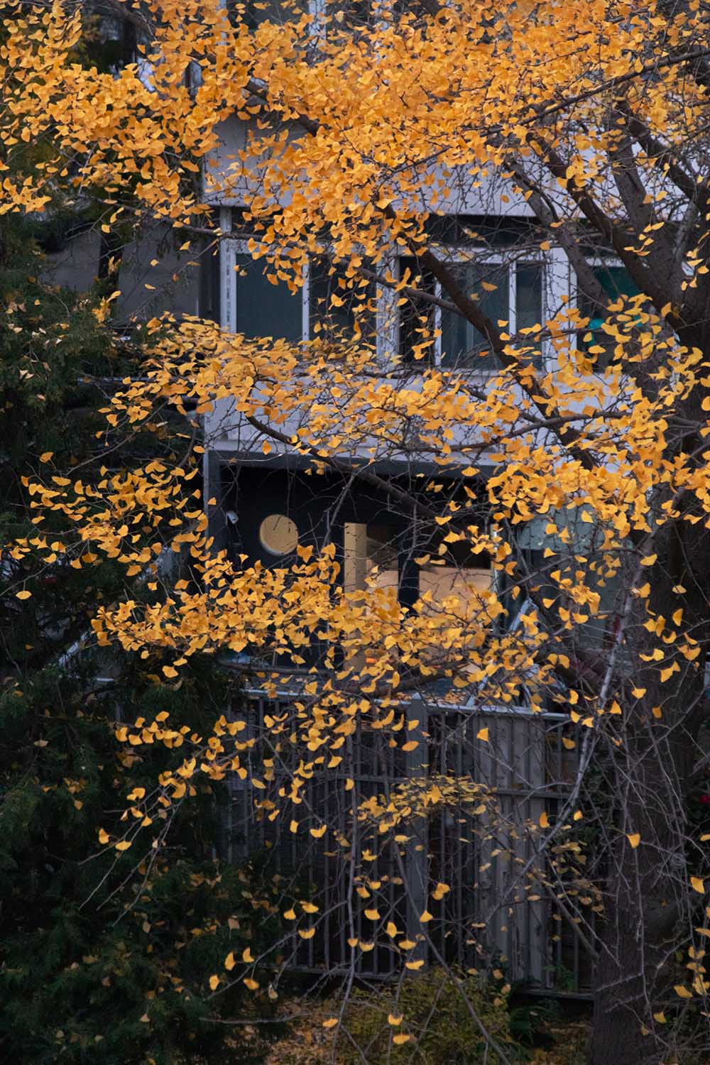 56㎡住宅設計,56㎡,小戶型設計,家裝設計,公寓改造,舊房翻新,小戶型設計案例,住宅設計案例,院居,戲構建築設計