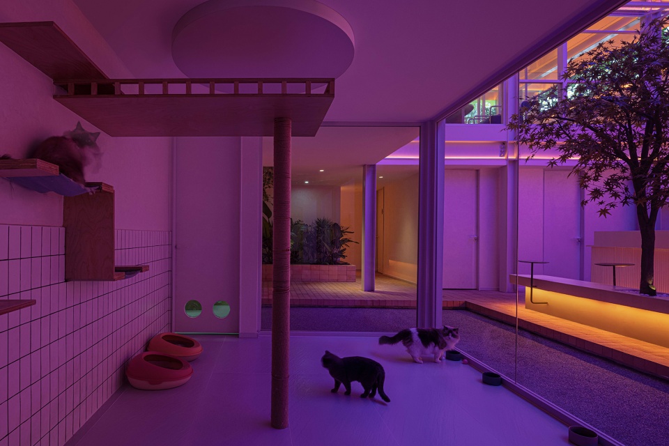 咖啡廳設計,酒吧設計,酒吧裝修,酒吧設計案例,酒吧設計方案,成都,CARE PARTNER咖啡&酒吧,一展設計,肖懿展