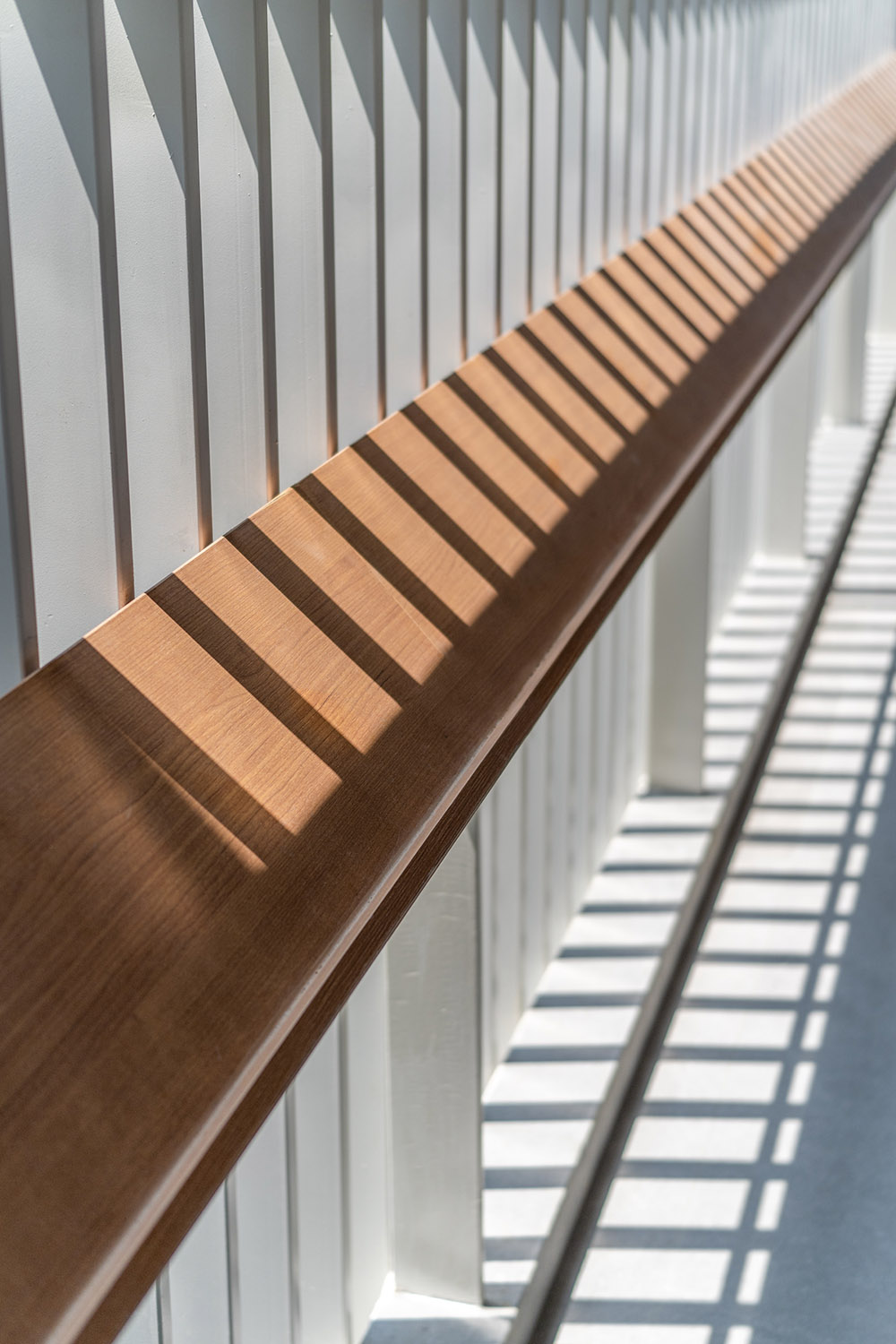 小學設計,學校設計,校園設計,學校設計案例,校園改造,學校裝修,南山區麗林維育學校,深圳,深圳小學,AG彙創