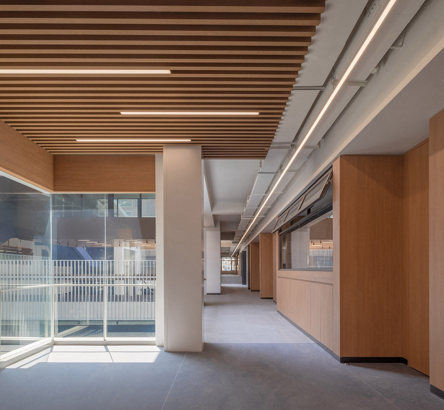 小學設計,學校設計,校園設計,學校設計案例,校園改造,學校裝修,南山區麗林維育學校,深圳,深圳小學,AG彙創