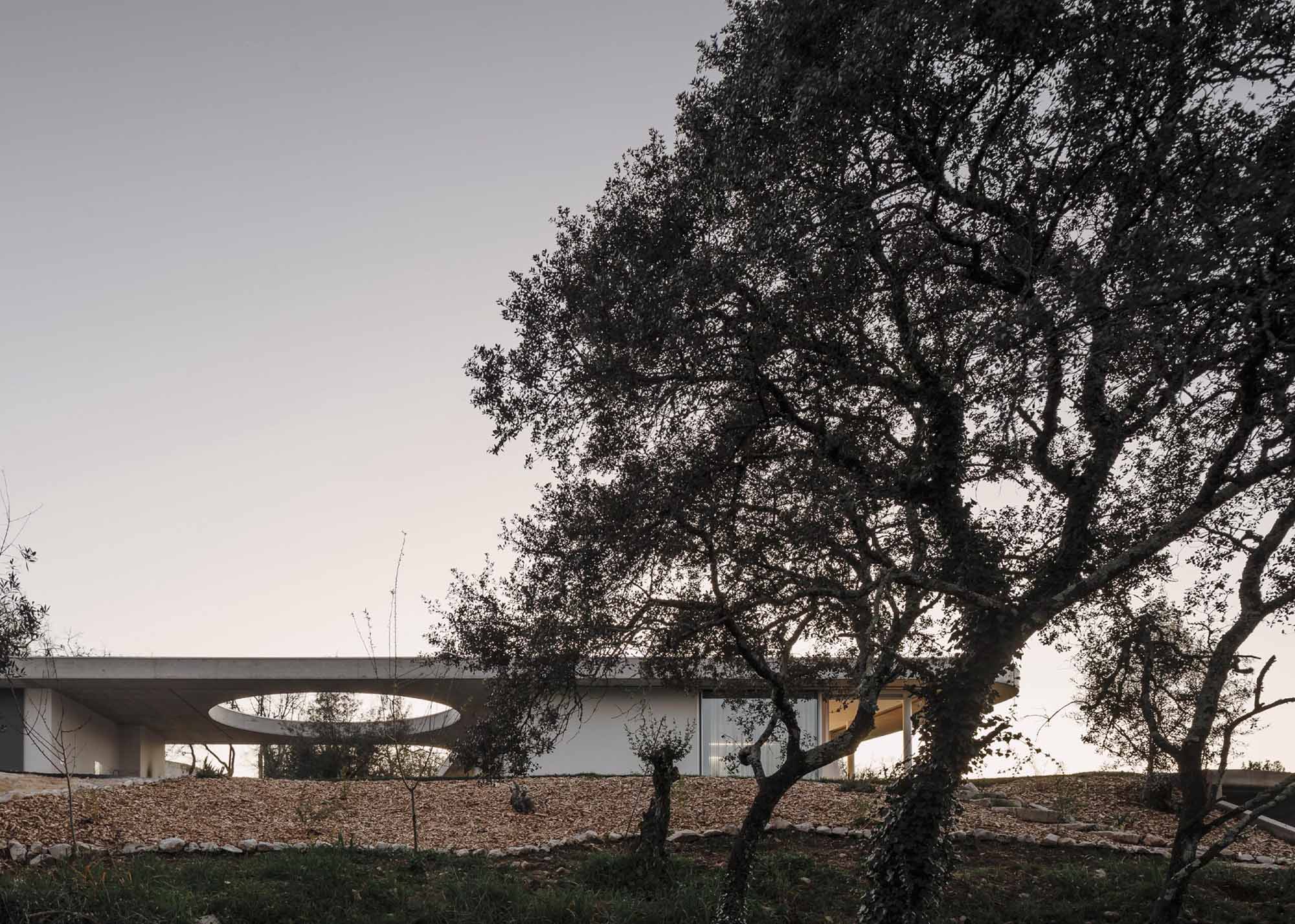 別墅設計,別墅設計案例,Bruno Dias,葡萄牙,國外別墅設計案例,別墅裝修,平層別墅,混凝土,野獸派風格,極簡風格