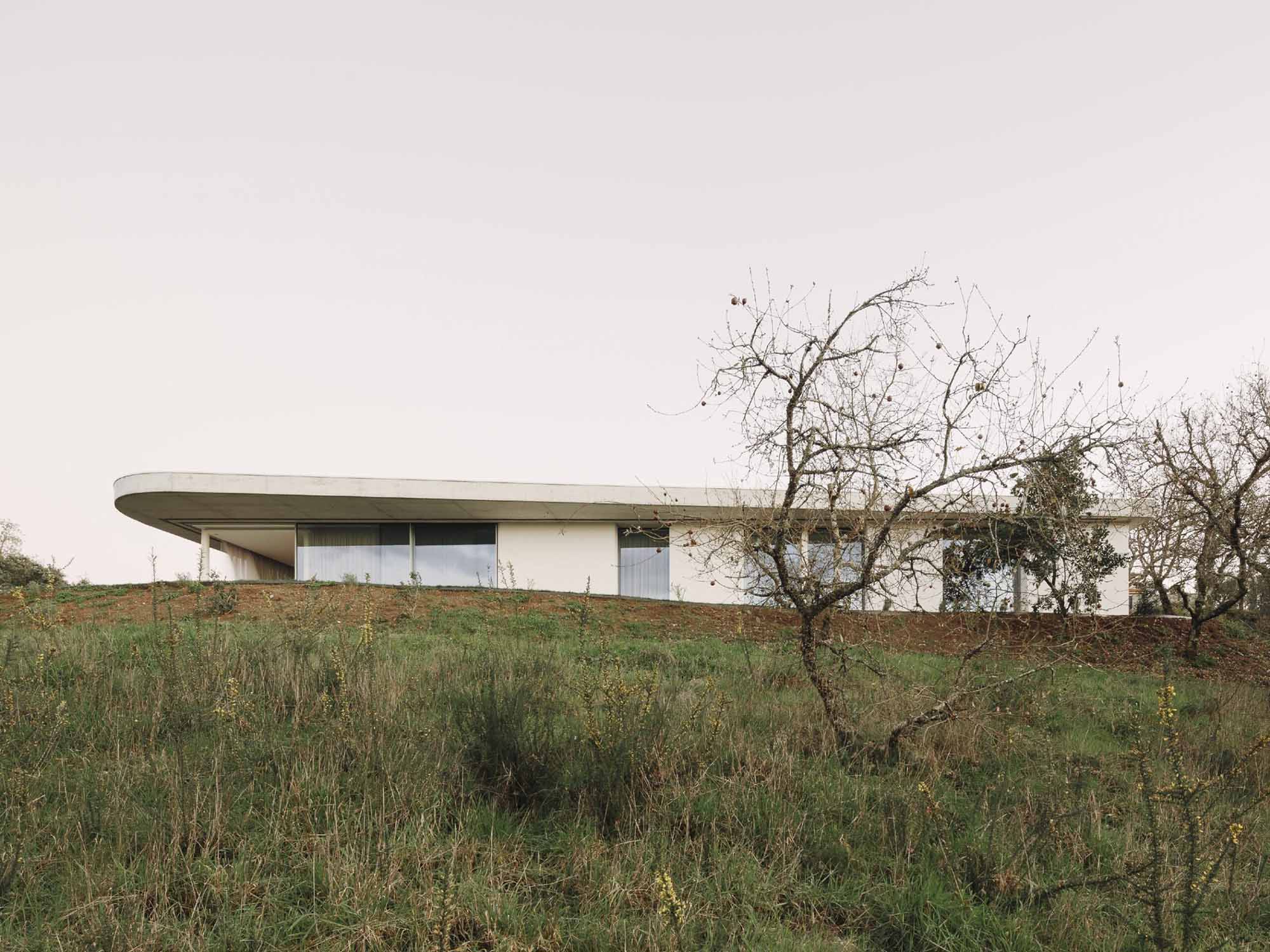 別墅設計,別墅設計案例,Bruno Dias,葡萄牙,國外別墅設計案例,別墅裝修,平層別墅,混凝土,野獸派風格,極簡風格