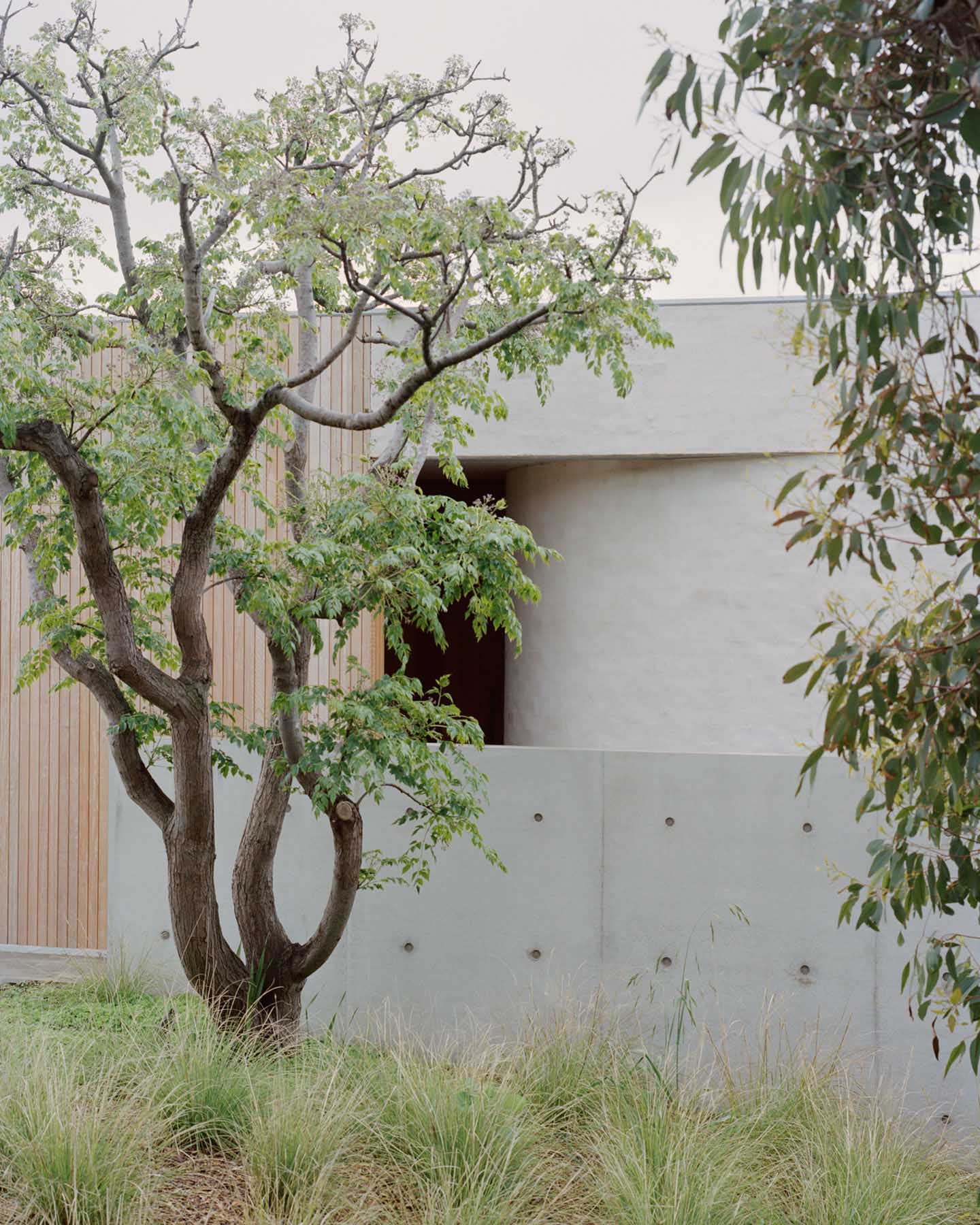 別墅設計,別墅設計案例,Eastop Architects,澳大利亞,國外別墅設計案例,別墅裝修,極簡風格,海景別墅,莫寧頓半島