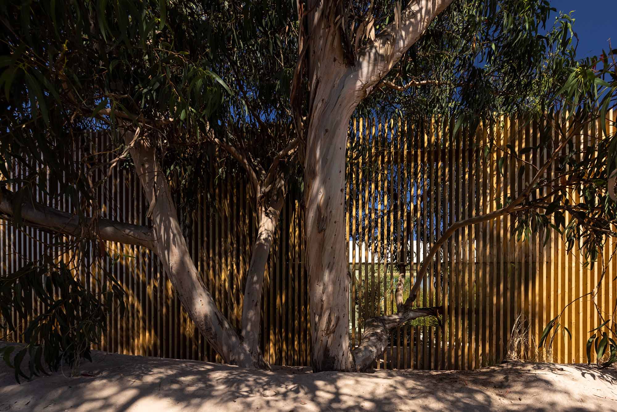 別墅設計,別墅設計案例,Welcome Beyond,葡萄牙,國外別墅設計案例,別墅裝修,海景別墅,開放式布局,400㎡