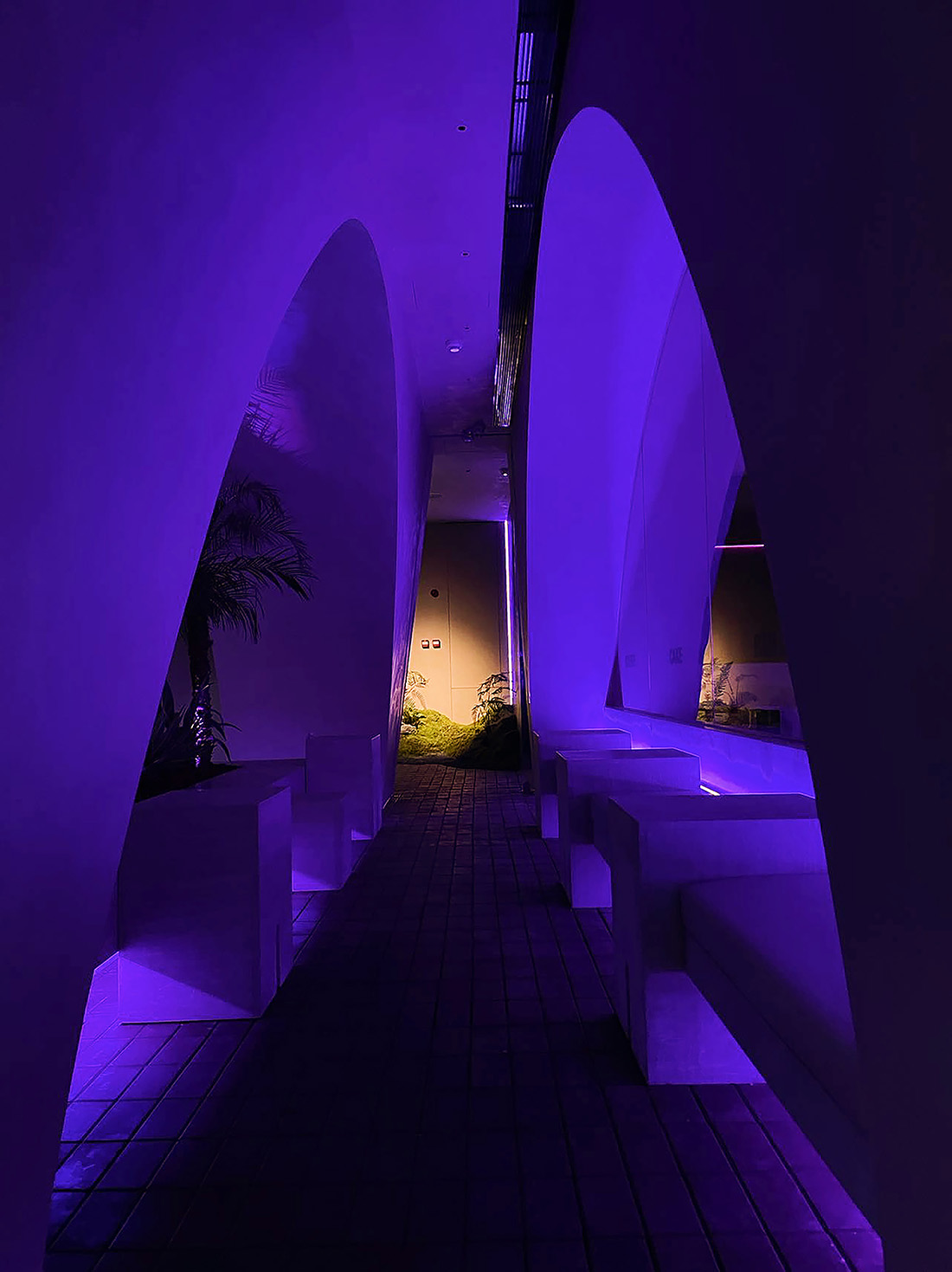 街邊咖啡店設計,咖啡店設計,咖啡店設計案例,咖啡店設計方案,茶飲店設計,廣州,貓屎咖啡在地生長概念店,本立設計