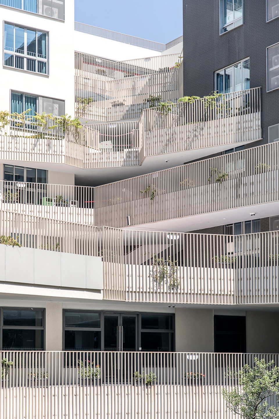 學校設計,小學設計,學校改造設計,校園設計,學校裝修,學校設計案例,深圳,羅湖桃園小學,立方建築設計